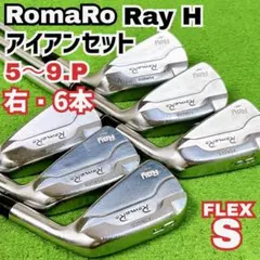 2026年最新】ロマロ ray h アイアンの人気アイテム - メルカリ