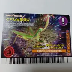2008夏レインボー 甲虫王者ムシキング MC000 トレーディングカード 2008夏レインボー 甲虫王者ムシキング MC000 トレーディングカード