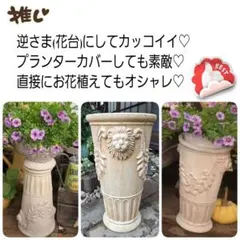 テラコッタ ガーデニング