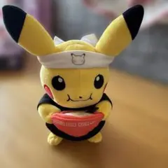 ポケモン　ポケモンセンターフクオカ　ラーメン　ピカチュウ　ぬいぐるみ