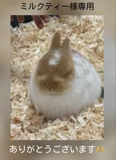 ミルクティー（プロフご覧ください）様 リクエスト 2点 まとめ商品