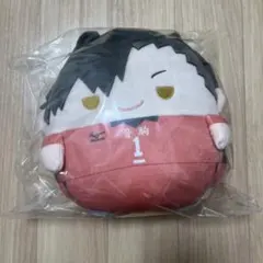 ハイキュー!! くじメイト ぬいくじ ふわコロりん C賞 黒尾鉄朗