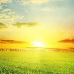 あんころ　様　専用ぺージ