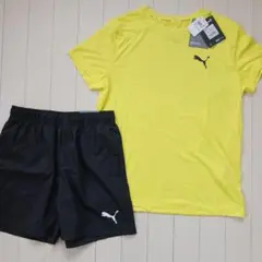 PUMAプーマ、トレーニングウェア、セットアップ、上下セット新品★サイズ160