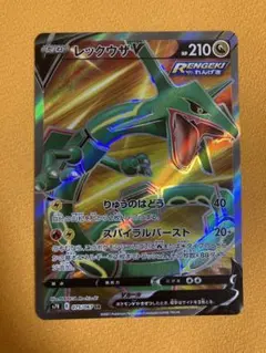 2026年最新】蒼空ストリーム レックウザの人気アイテム - メルカリ