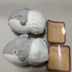 2026年最新】おでかけ子ザメ ましゅもっちの人気アイテム - メルカリ