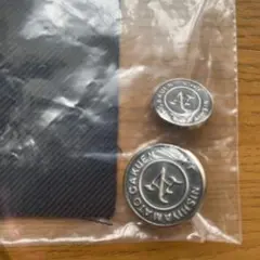 Item thumbnail for item ae2e7b23-18b9-4b58-b434-93d0c9176640