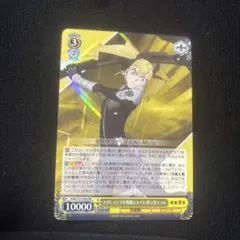2026年最新】ヴァイスシュヴァルツの人気アイテム - メルカリ