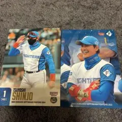 超レア非売品！初期！北海道日本ハムファイターズ現監督新庄剛志監督等身大ポスター 2026年最新】新庄剛志監督の人気アイテム - メルカリ