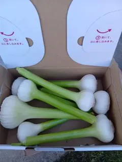 送料無料!! 2025年産 無農薬 バラニンニク 1kg ニンニク 1キロ - メルカリ