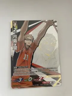 ハイキュー　バボカ　最強の挑戦者　月島蛍