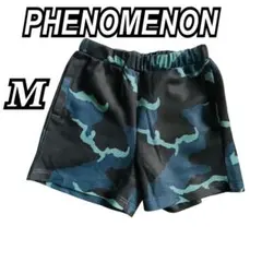 Item thumbnail for item 083c00c5-2d7b-4e1c-a0a4-b40869d3ccb8