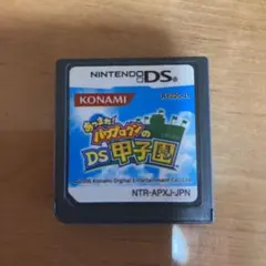 あつまれ!パワプロクンのDS甲子園