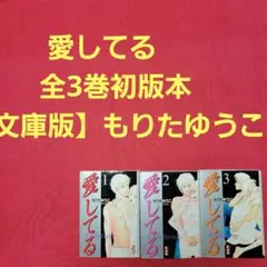 愛してる　全3巻初版本【文庫版】もりたゆうこ 除菌済