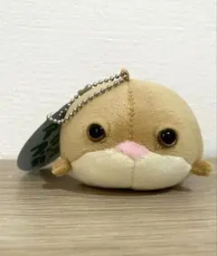 アメフクラガエル　ぬいぐるみ　キーホルダー