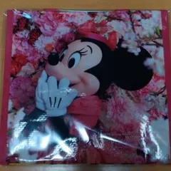 Item thumbnail for item 97fdc99d-be95-4356-bbd8-d46448f6c239