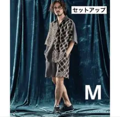 Item thumbnail for item a0026cc1-a8d5-4428-b63e-446c28e521b8