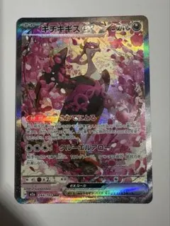 キチキギスex sar