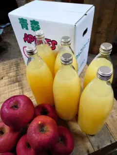 青森りんご　サンふじ100%　りんごジュース　1L6本入り 送料込のサムネイル