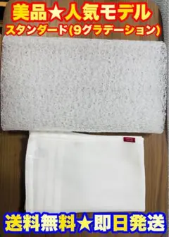 【美品★定価3万】BRAIN SLEEP PILLOW ブレインスリープ ピロー