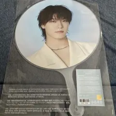 【即購入、値下げ◎】「11月28日までの出品」ディノ NEW うちわ ソウルコン