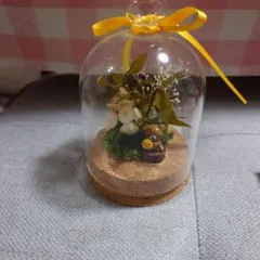テラリウム ボトルアレンジメント くま - メルカリ