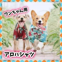 Item thumbnail for item d066a1f2-ebb5-45fc-8d3d-72832c14307d