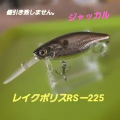 Item thumbnail for item 2ef53ceb-8111-4ccc-bb9d-ed36a74451f6