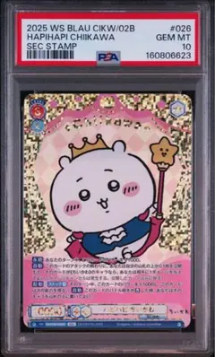 PSA10 鑑定品 ちいかわ ハチワレ うさぎ ヴァイスシュバルツブラウ