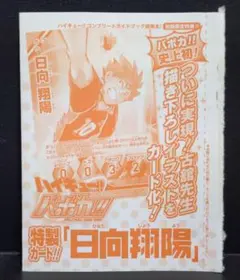 ハイキュー!！コンプリートガイドブック排球本!　特製カード　日向翔陽【未開封】