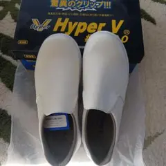 Item thumbnail for item 07042cd6-e0b0-4d44-8fc5-af993873f288