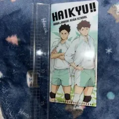 ハイキュー　青葉城西高校　及川徹　岩泉一　ミニクリアファイル