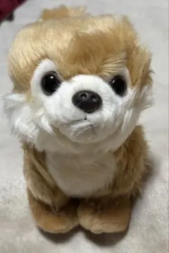 Item thumbnail for item 2d505bf2-4bd5-4515-b336-b0e7e0e25727