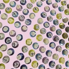 歯シール 歯イルシール 歯 5粒