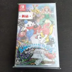【新品未開封】スノーブラザーズ ワンダーランド　switch