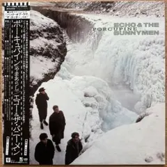 Beach boys Pet Sounds SHM PlatinumMono③ - メルカリ