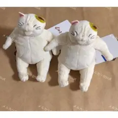 2026年最新】ムタさん ぬいぐるみの人気アイテム - メルカリ