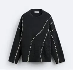 完売品 ZARA × champion ストライプ ボーダー ニット セーター - メルカリ
