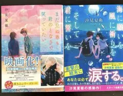 汐見夏衛　恋愛小説２冊セット