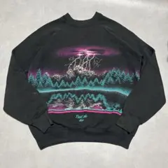 90s USA製 フルーツ　両面サンダープリントスウェット　L