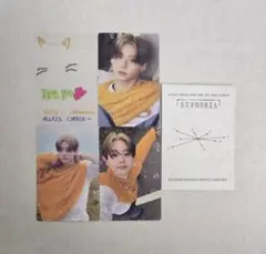 ALD1 サンウォン オフィシャルMD ランダム トレカ