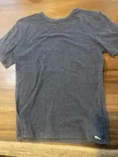 SEA グレーフィッシュ　Tシャツのサムネイル
