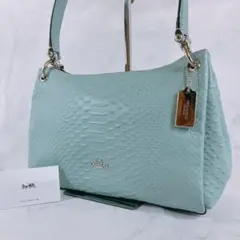 2025年最新】パイソン ショルダーバッグ 新品未使用の人気