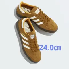 Item thumbnail for item 847250fe-e4c6-4fb7-8caf-bb0a5b8a5127