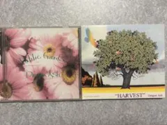 DRAGON ASH 【HARVEST・pablic garden】