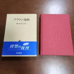 ブラウン運動　飛田　武幸