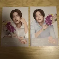 【くーろん様専用】高橋恭平 ISLAND チラシ