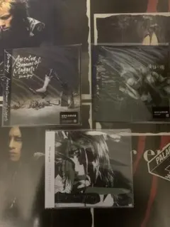 2026年最新】dir en grey 落ちた事のある空の人気アイテム - メルカリ