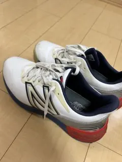 ゴルフシューズ 25.5