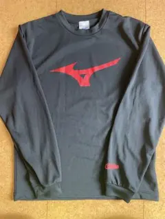 Item thumbnail for item 69a24996-8743-4657-9adc-843c4198b5e9